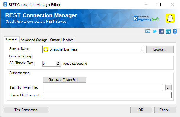 SSIS Snapchat Business Connection Manager